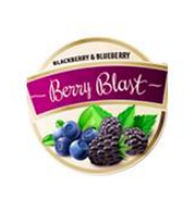 Logo de Berry Blast